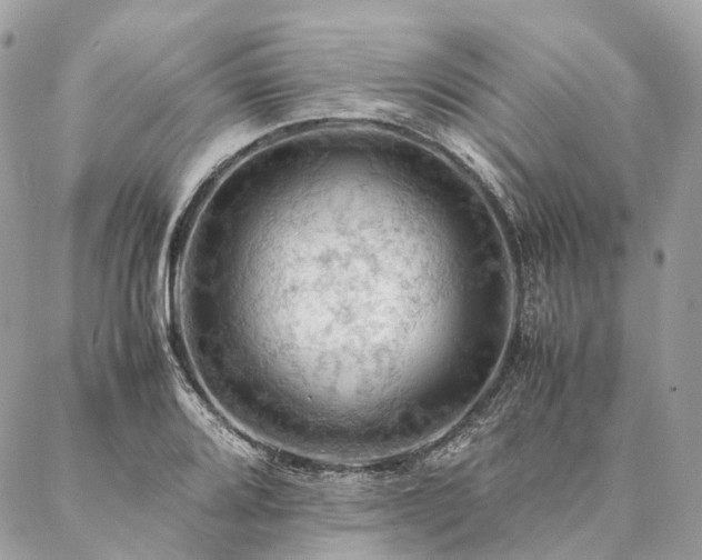 X0000086941080200704161423