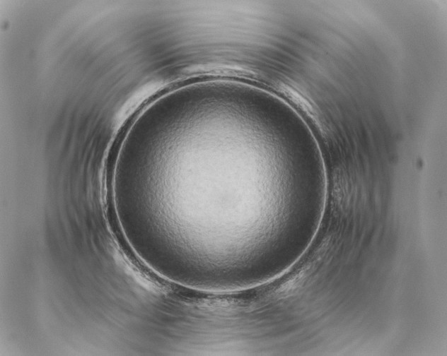 X0000086941082200704161423