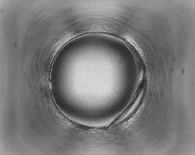 X0000086941089200704161423