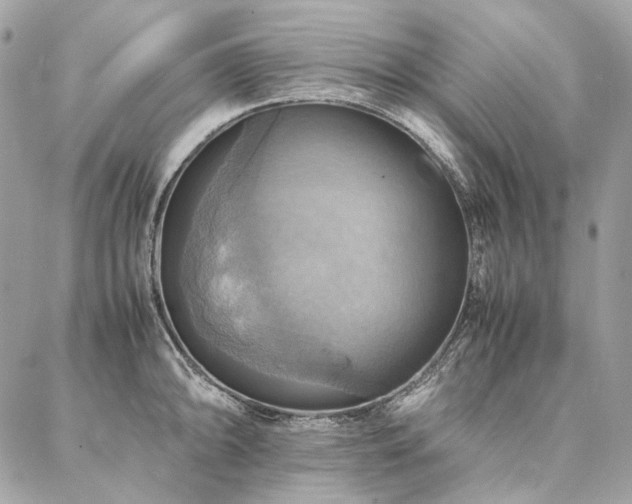 X0000086941094200704161422