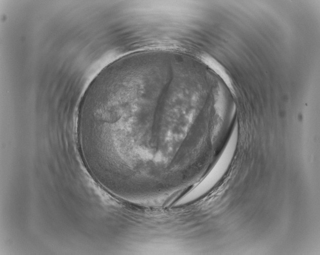 X0000086941099200704161422