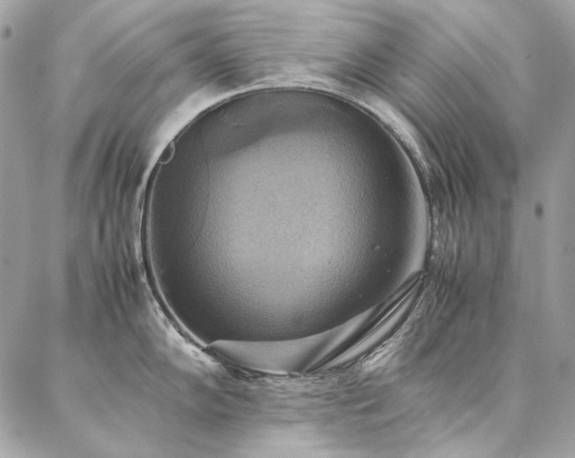 X0000086941102200704161422