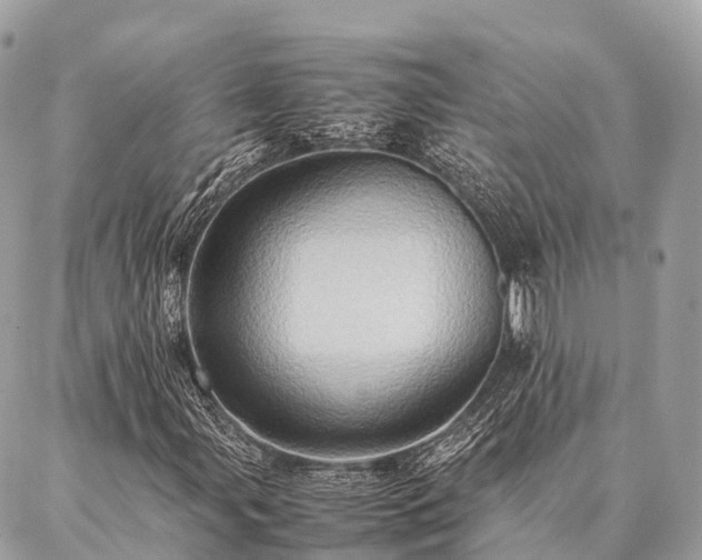 X0000086941107200704161422