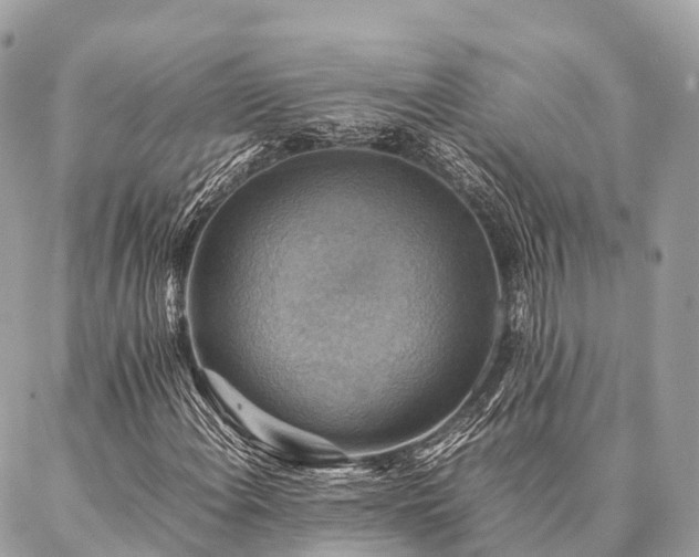 X0000086941108200704161422