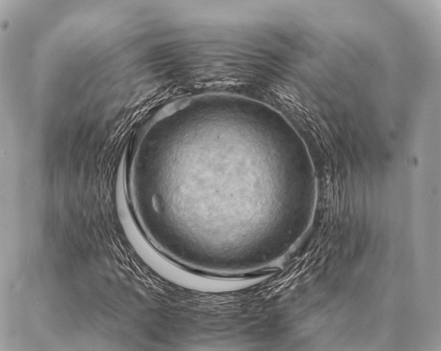 X0000086941109200704161422