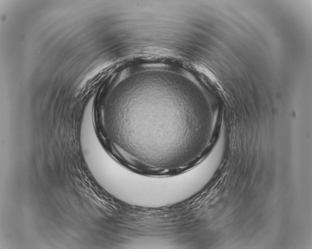 X0000086941112200704161422