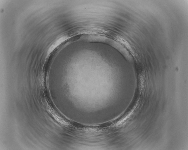 X0000086941114200704161422