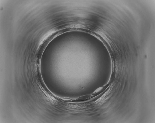 X0000086941115200704161422