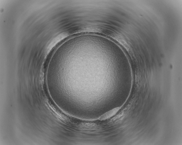 X0000086941119200704161422
