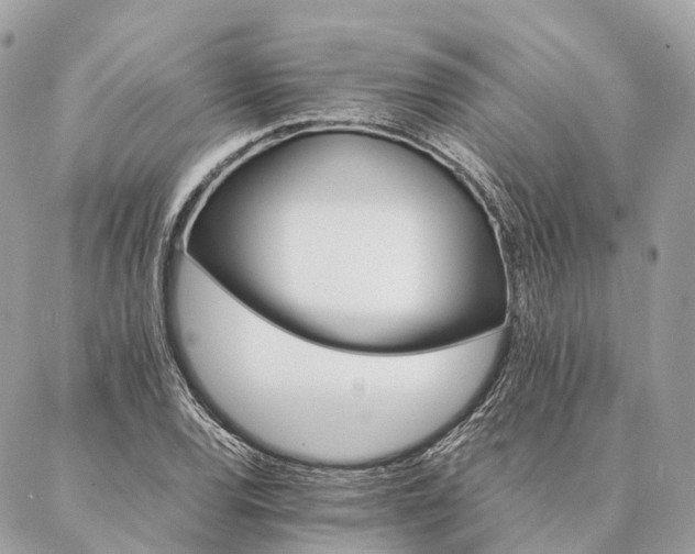 X0000086941120200704161422