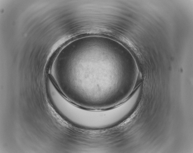 X0000086941122200704161422