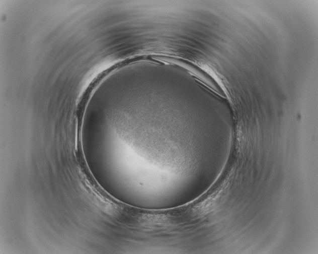 X0000086941123200704161422