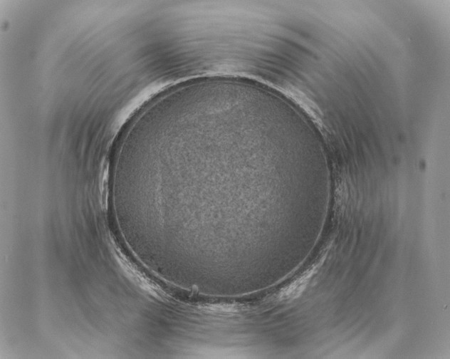 X0000086941126200704161422