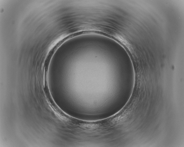 X0000086941127200704161422