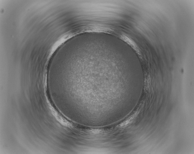 X0000086941130200704161422