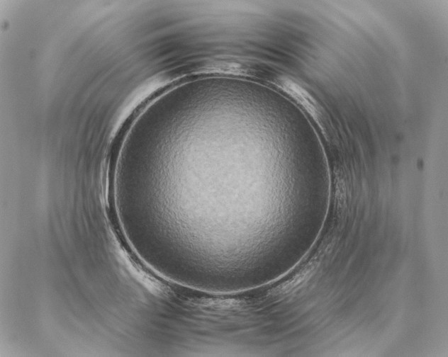 X0000086941131200704161422