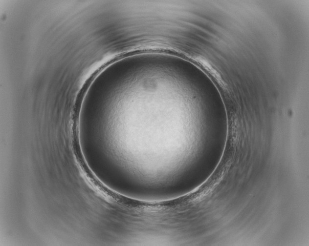 X0000086941134200704161422