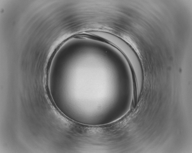 X0000086941136200704161422