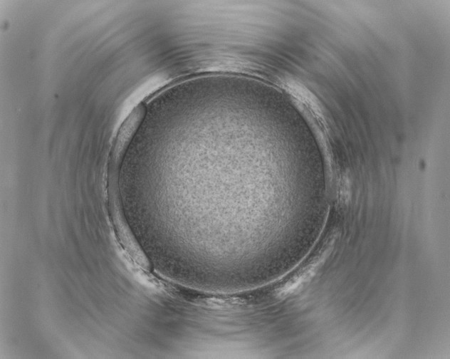 X0000086941138200704161422