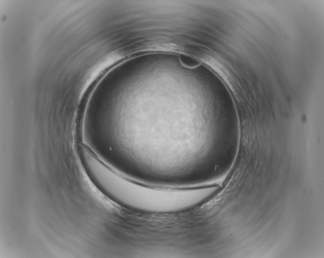 X0000086941139200704161422