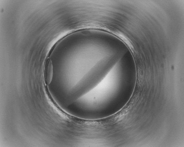 X0000086941142200704161422