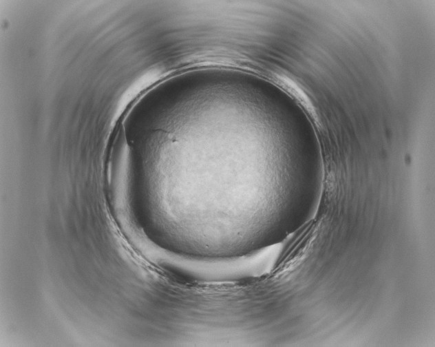 X0000086941146200704161422