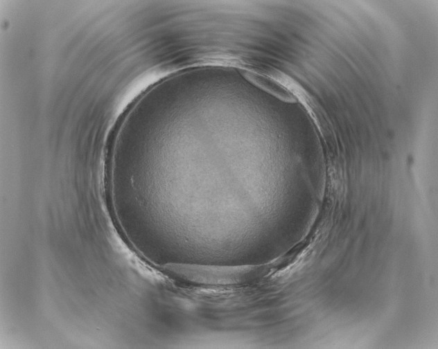 X0000086941147200704161422
