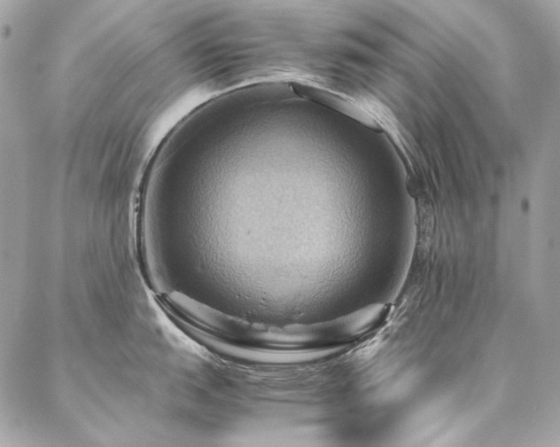 X0000086941151200704161422