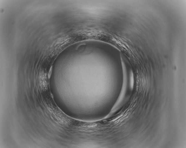 X0000086941156200704161421
