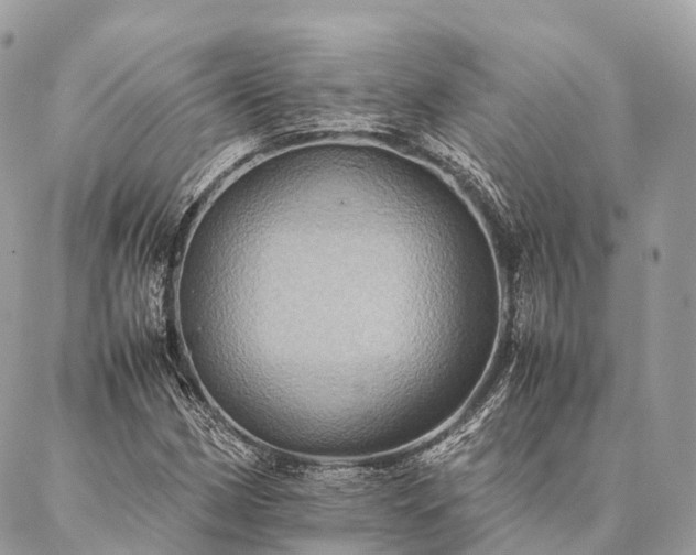 X0000086941162200704161421