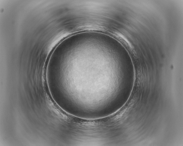 X0000086941182200704161421