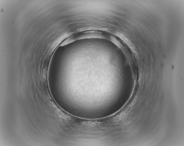 X0000086941185200704161421
