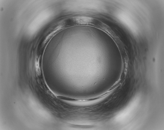 X0000086941198200704161421