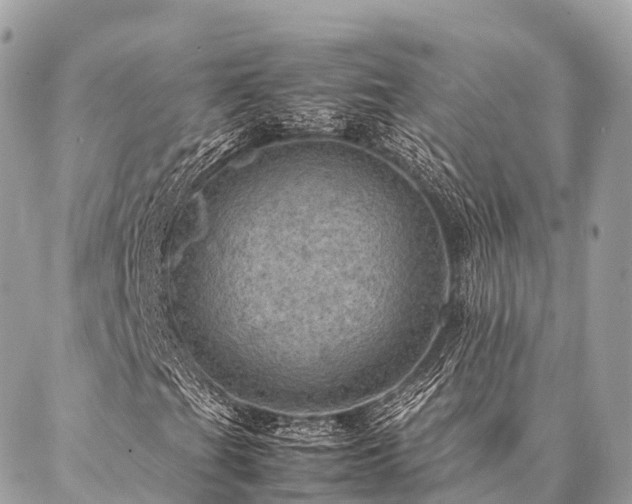 X0000086941201200704161420