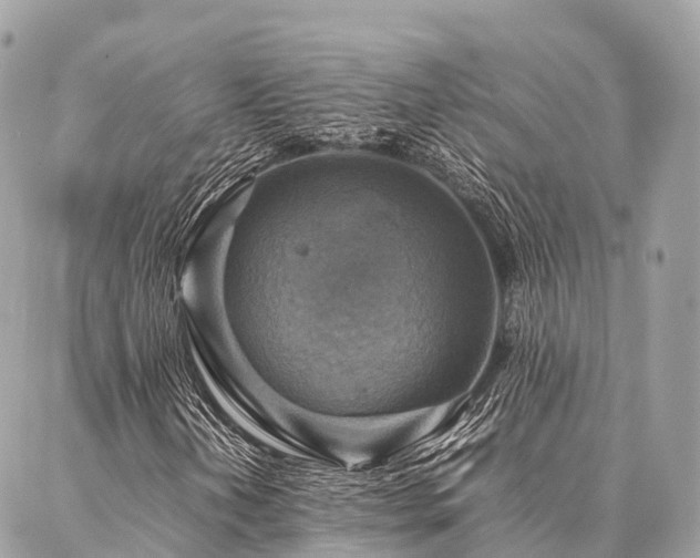 X0000086941202200704161420