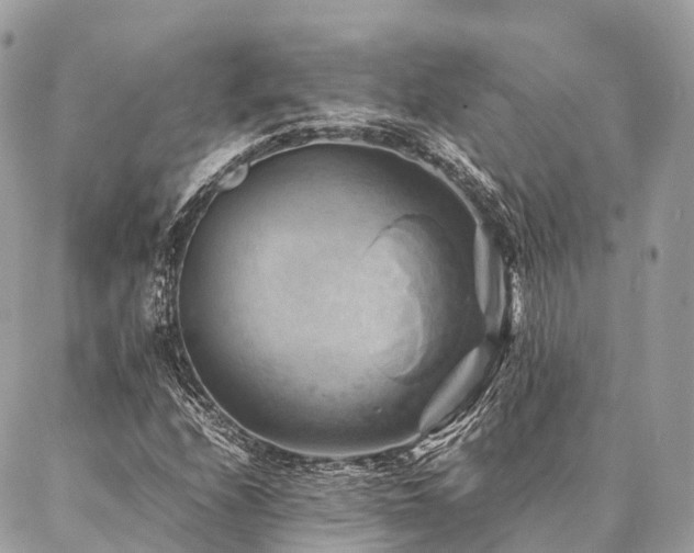 X0000086941208200704161420