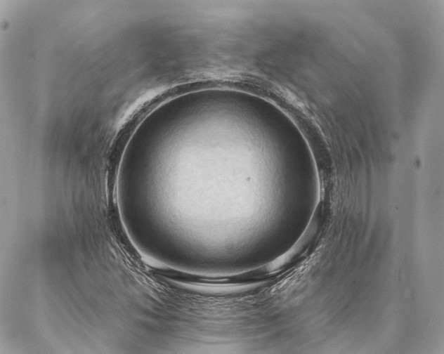X0000086941214200704161420