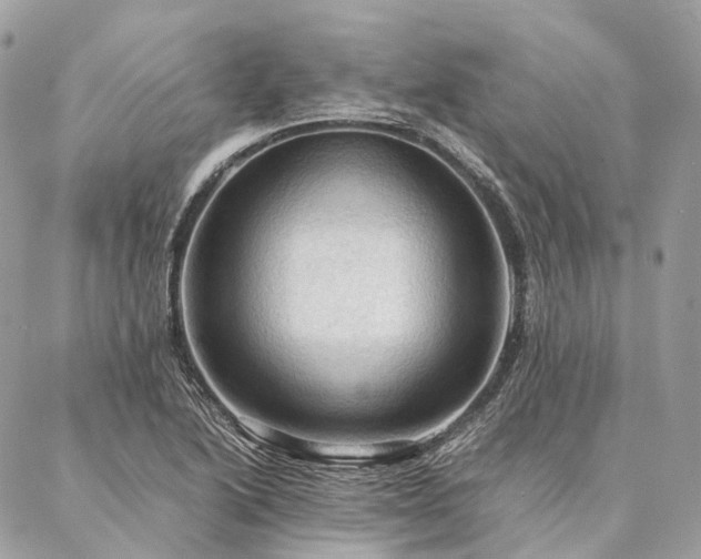 X0000086941222200704161420