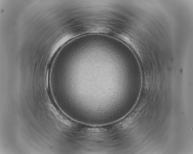 X0000086941227200704161420