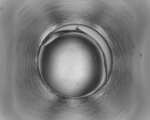 X0000086941234200704161421