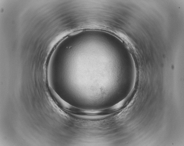 X0000086941238200704161421