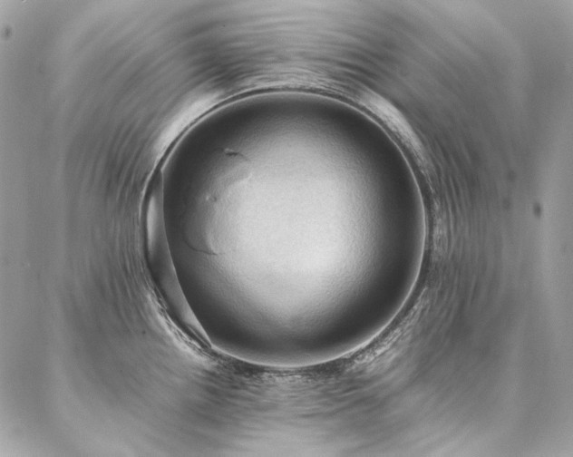 X0000086941242200704161421