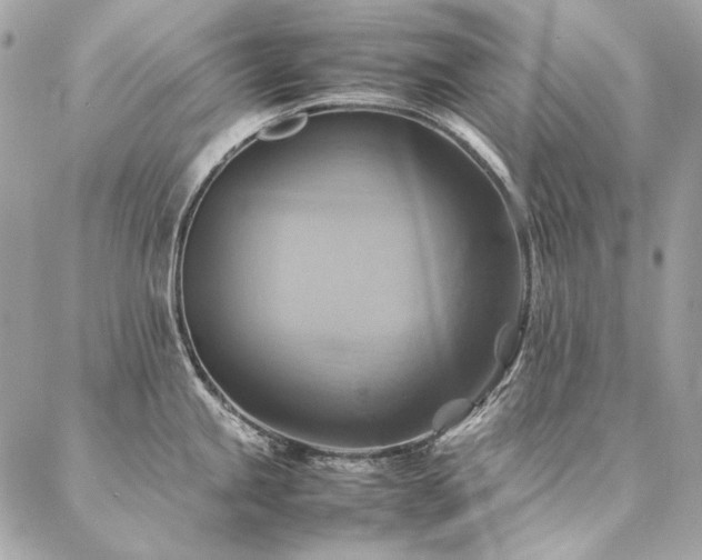 X0000086941245200704161421