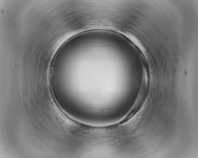 X0000086941246200704161421