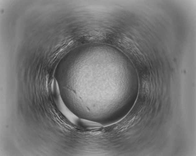 X0000086941250200704161420