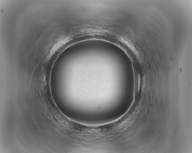 X0000086941261200704161420