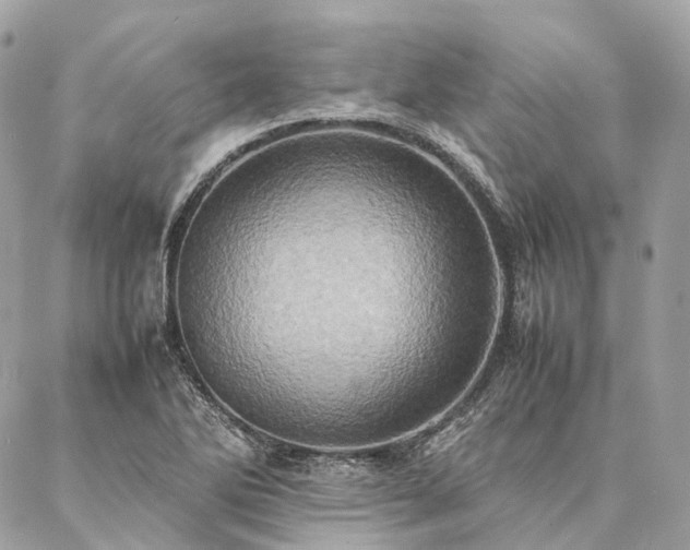 X0000086941270200704161420