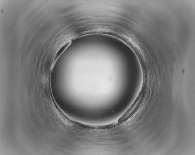 X0000086941281200704161419