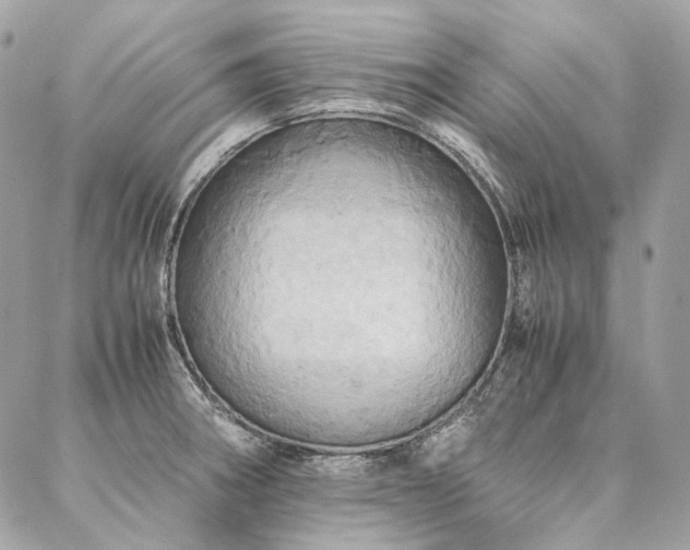 X0000086941282200704161419