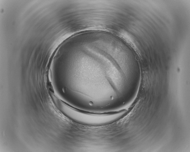 X0000086941284200704161419